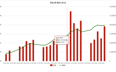 Cổ phiếu BSD: Thông tin doanh nghiệp, Đặc điểm tài chính, Tiềm năng tăng trưởng và Chiến lược VSA