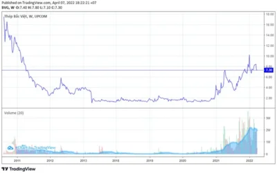 Cổ phiếu BVG: Thông tin, Đặc điểm, Tiềm năng và Cách đầu tư