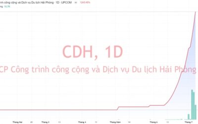 Cổ phiếu CDH: Thông tin, Đặc điểm, Hiệu quả và Chiến lược đầu tư