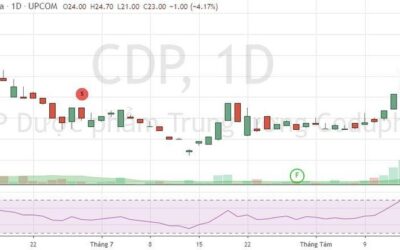 Cổ phiếu CDP: Thông tin, Đặc điểm, Tiềm năng và Cách đầu tư hiệu quả