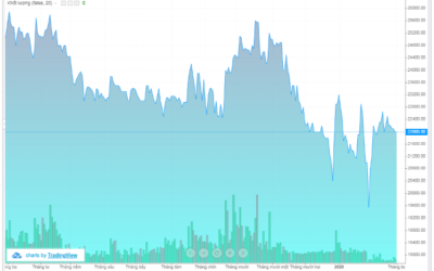 Cổ phiếu CTI: Thông tin, Đặc điểm, Tiềm năng và Chiến lược đầu tư