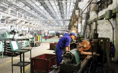 Cổ phiếu CTT: Thông tin, Đặc điểm, Tiềm năng và Đánh giá đầu tư