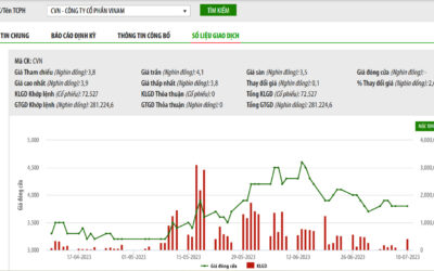 Cổ phiếu CVN: Thông tin doanh nghiệp, Chỉ số tài chính, Tiềm năng tăng trưởng và Chiến lược đầu tư