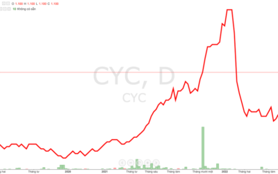 Cổ phiếu CYC: Thông tin niêm yết, Chỉ số tài chính, Triển vọng kinh doanh và Chiến lược đầu tư
