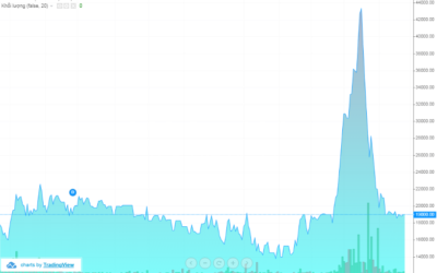 Cổ phiếu D11: Thông tin, Đặc điểm, Vị thế ngành và Chiến lược đầu tư