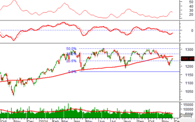 Cổ phiếu DM7: Thông tin doanh nghiệp, Chỉ số tài chính, Tiềm năng tăng trưởng và Chiến lược đầu tư