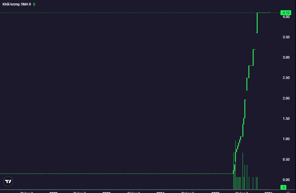 Cổ phiếu DNN: Thông tin niêm yết, Đặc điểm tài chính, Tiềm năng tăng trưởng và Phân tích kỹ thuật thực chiến