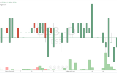 Cổ phiếu DS3: Thông tin doanh nghiệp, Chỉ số tài chính, Tiềm năng tăng trưởng và Rủi ro đầu tư