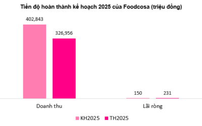 Cổ phiếu FCS: Thông tin, Đặc điểm, Tiềm năng và Cách đầu tư hiệu quả