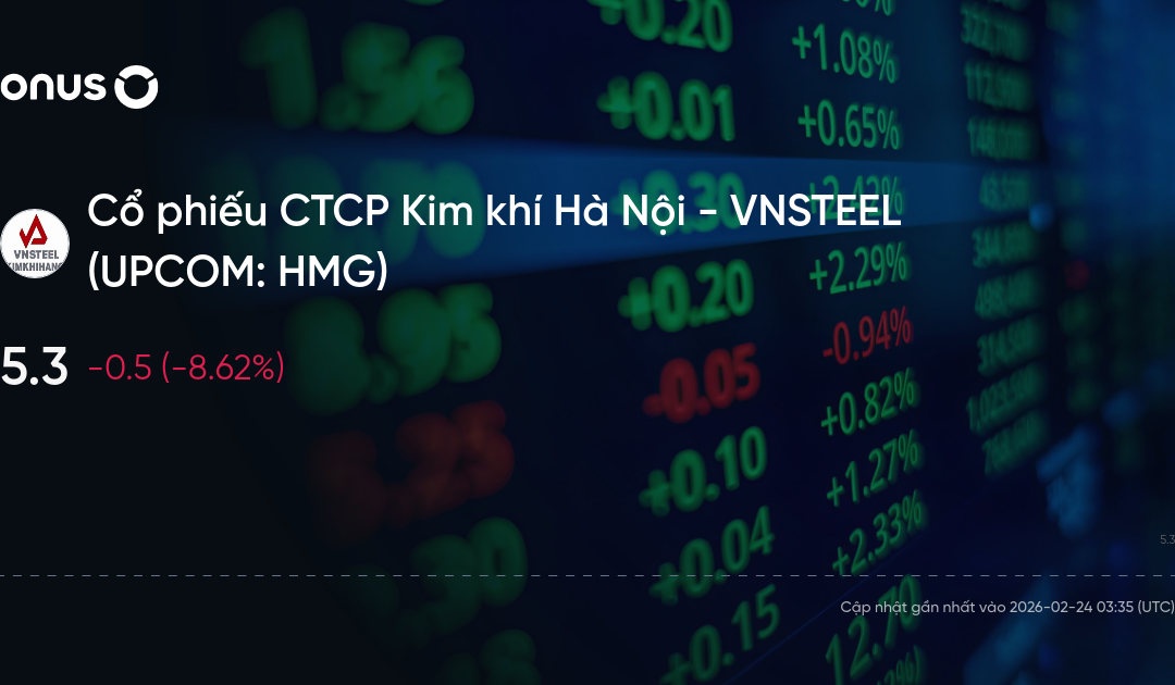 Cổ phiếu HMG: Thông tin, Chỉ số tài chính, Tiềm năng và Chiến lược đầu tư