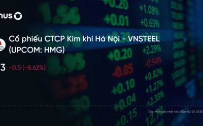 Cổ phiếu HMG: Thông tin, Chỉ số tài chính, Tiềm năng và Chiến lược đầu tư