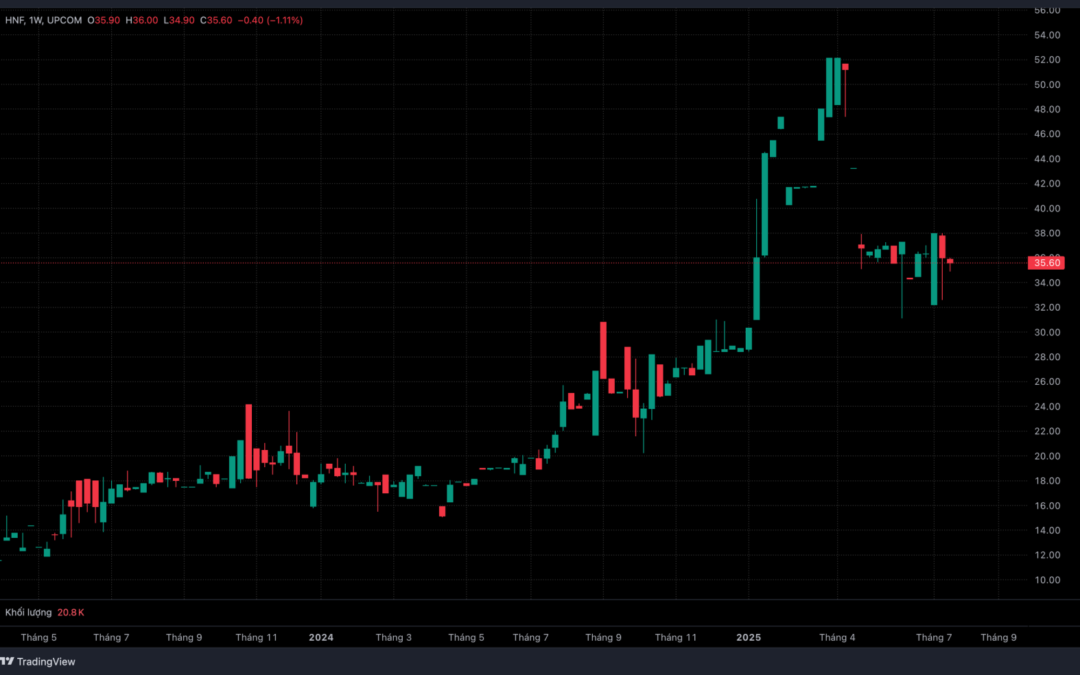 Cổ phiếu HNF: Thông tin niêm yết, Đặc điểm tài chính, Tiềm năng tăng trưởng và Chiến lược đầu tư 2026