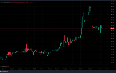 Cổ phiếu HNF: Thông tin niêm yết, Đặc điểm tài chính, Tiềm năng tăng trưởng và Chiến lược đầu tư 2026