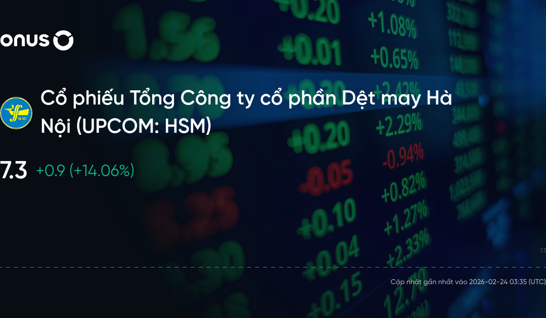 Cổ phiếu HSM: Thông tin doanh nghiệp, Tình hình tài chính, Phân tích VSA và Định giá 2026