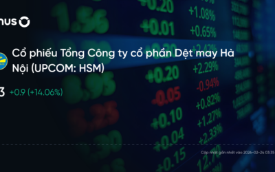 Cổ phiếu HSM: Thông tin doanh nghiệp, Tình hình tài chính, Phân tích VSA và Định giá 2026