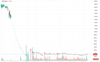 Cổ phiếu IBC: Thông tin, Đặc điểm, Thực trạng và Triển vọng đầu tư