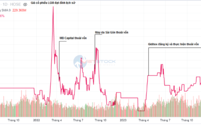 Cổ phiếu Lgm: Thông tin, Đặc điểm, Tiềm năng và Chiến lược đầu tư
