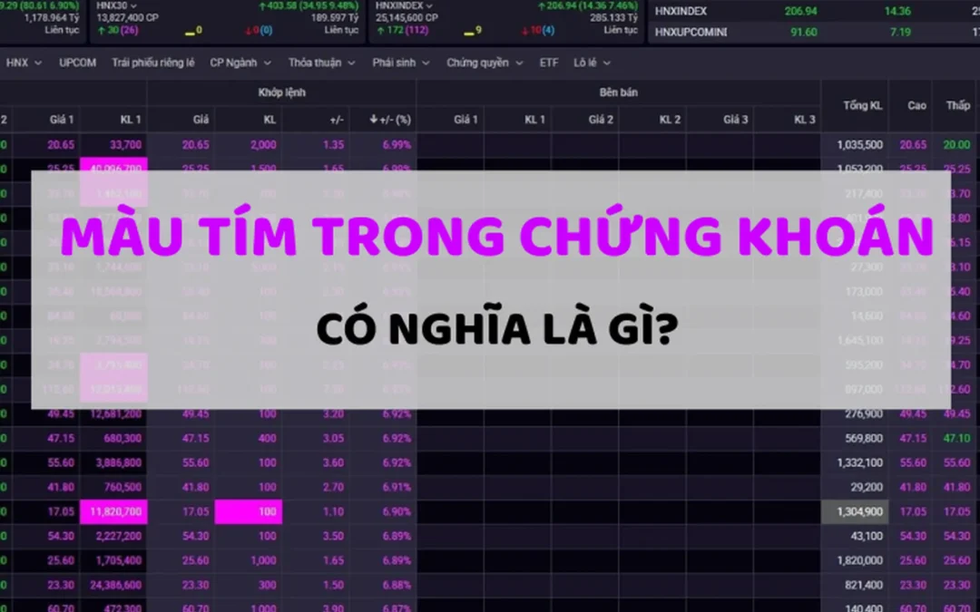 Cổ phiếu màu tím nghĩa là gì: Quy định, Ý nghĩa dòng tiền và Chiến lược đầu tư