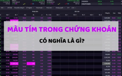 Cổ phiếu màu tím nghĩa là gì: Quy định, Ý nghĩa dòng tiền và Chiến lược đầu tư