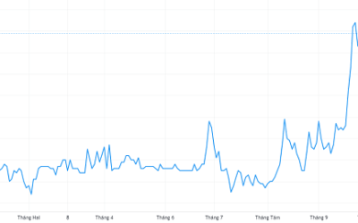 Cổ phiếu MCC: Thông tin, Đặc điểm, Hiệu quả và Cách đầu tư