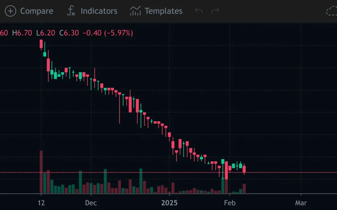 Cổ phiếu MZG: Thông tin niêm yết, Đặc điểm tài chính, Tiềm năng tăng trưởng và Chiến lược đầu tư