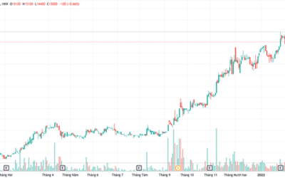Cổ phiếu NAG: Thông tin, Đặc điểm, Tiềm năng và Chiến lược đầu tư hiệu quả