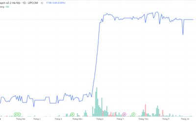 Cổ phiếu NS2: Thông tin doanh nghiệp, Đặc điểm tài chính, Phân tích kỹ thuật và Chiến lược đầu tư