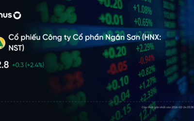 Cổ phiếu NST: Thông tin, Đặc điểm, Tiềm năng đầu tư và Phân tích kỹ thuật