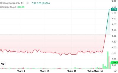 Cổ phiếu PWA: Thông tin doanh nghiệp, Đặc điểm tài chính, Triển vọng dự án và Chiến lược đầu tư