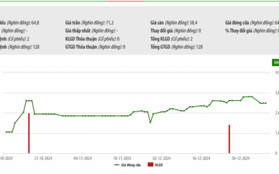 Cổ phiếu SAF: Thông tin, Đặc điểm tài chính, Phân tích kỹ thuật và Chiến lược đầu tư