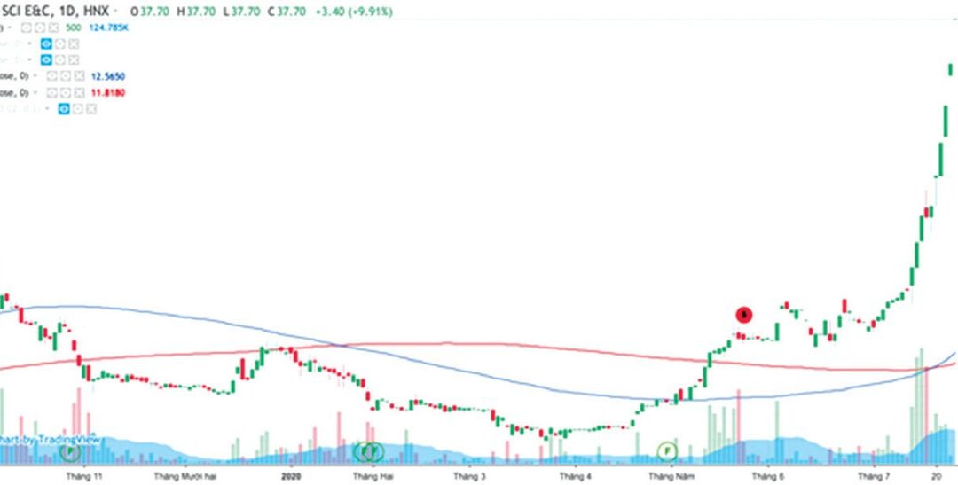 Cổ phiếu SCI: Thông tin doanh nghiệp, Chỉ số tài chính, Tiềm năng và Chiến lược đầu tư