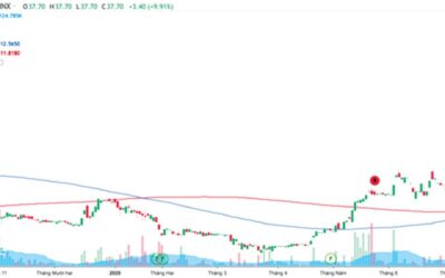 Cổ phiếu SCI: Thông tin doanh nghiệp, Chỉ số tài chính, Tiềm năng và Chiến lược đầu tư