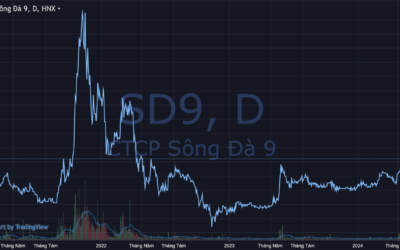 Cổ phiếu SD9: Thông tin doanh nghiệp, Chỉ số tài chính, Triển vọng và Chiến lược đầu tư