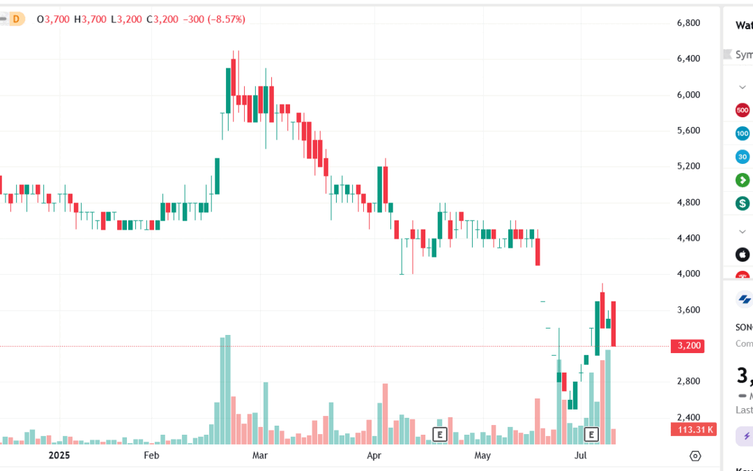 Cổ phiếu SDA: Thông tin doanh nghiệp, Chỉ số tài chính, Triển vọng đầu tư và Phân tích rủi ro