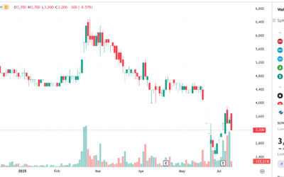 Cổ phiếu SDA: Thông tin doanh nghiệp, Chỉ số tài chính, Triển vọng đầu tư và Phân tích rủi ro