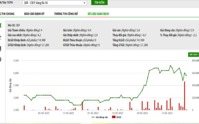 Cổ phiếu SDT: Thông tin doanh nghiệp, Chỉ số tài chính, Tiềm năng tăng trưởng và Chiến lược đầu tư