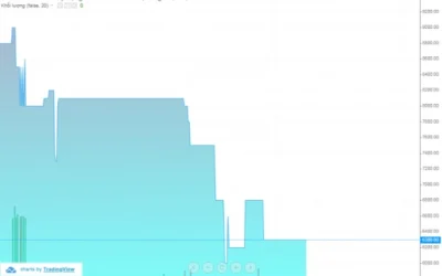 Cổ phiếu SDU: Thông tin doanh nghiệp, Chỉ số tài chính, Tiềm năng đầu tư và Rủi ro thị trường