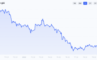 Cổ phiếu SGD: Thông tin, Đặc điểm, Tiềm năng và Chiến lược đầu tư