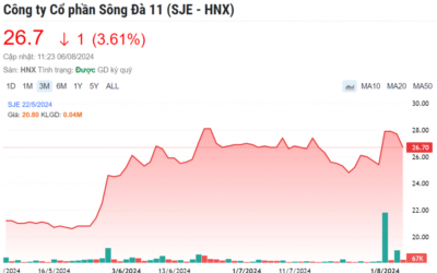 Cổ phiếu SJE: Thông tin doanh nghiệp, Đặc điểm tài chính, Tiềm năng tăng trưởng và Chiến lược đầu tư