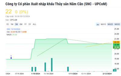Cổ phiếu SNC: Thông tin, Đặc điểm, Tiềm năng và Chiến lược đầu tư