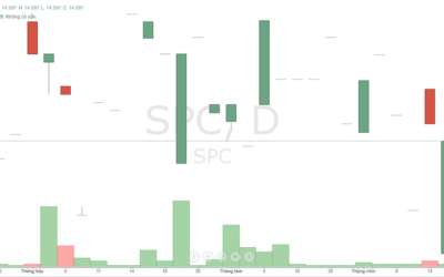 Cổ phiếu SPC: Thông tin doanh nghiệp, Chỉ số tài chính, Tiềm năng đầu tư và Biểu đồ giá