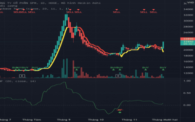 Cổ phiếu SPM: Thông tin doanh nghiệp, Đặc điểm niêm yết, Phân tích tài chính và Tiềm năng đầu tư