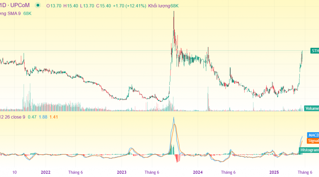 Cổ phiếu STH: Thông tin doanh nghiệp, Chỉ số tài chính, Tiềm năng đầu tư và Phân tích kỹ thuật