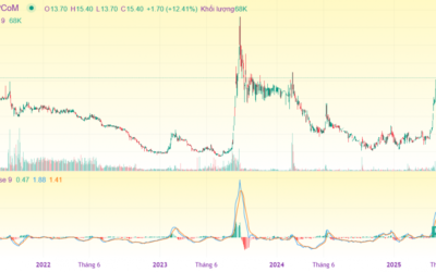 Cổ phiếu STH: Thông tin doanh nghiệp, Chỉ số tài chính, Tiềm năng đầu tư và Phân tích kỹ thuật