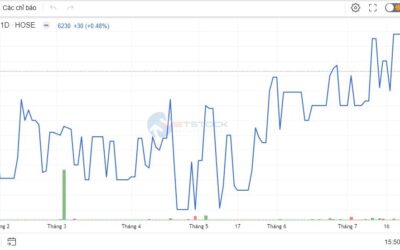 Cổ phiếu TPC: Thông tin niêm yết, Phân tích tài chính, Kỹ thuật VSA và Chiến lược đầu tư