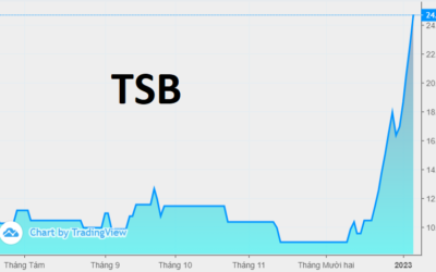 Cổ phiếu TSB: Thông tin, Đặc điểm, Phân tích kỹ thuật và Định giá
