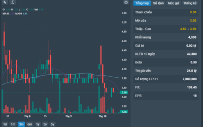 Cổ phiếu TXM: Thông tin doanh nghiệp, Chỉ số tài chính, Phân tích kỹ thuật và Tiềm năng đầu tư