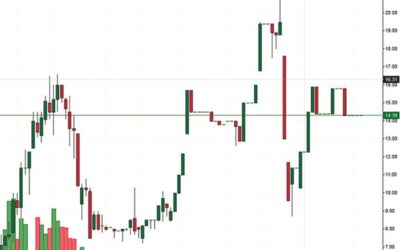 Cổ phiếu V21: Thông tin, Chỉ số tài chính, Phân tích kỹ thuật và Tiềm năng đầu tư
