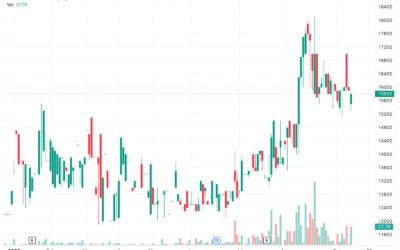 Cổ phiếu VCC: Thông tin doanh nghiệp, Chỉ số tài chính, Tiềm năng đầu tư và Nhận định