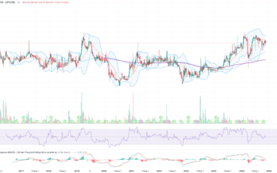 Cổ phiếu VGG: Thông tin niêm yết, Sức mạnh tài chính, Tiềm năng bứt phá và Phân tích Wyckoff 2026